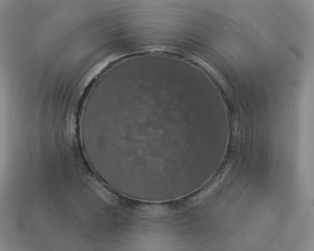 X0000113551023200910161429