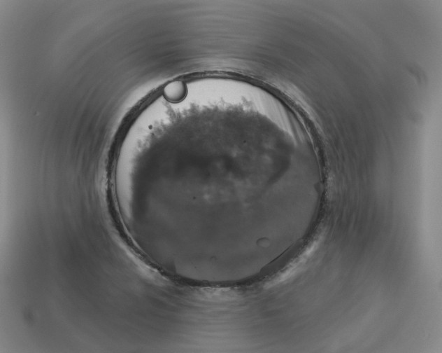 X0000113551024200910161429