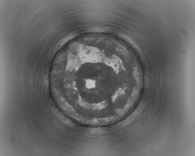 X0000113551025200910161429