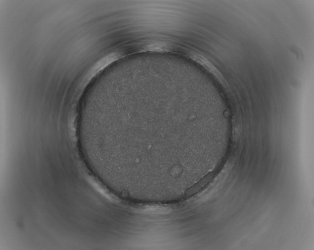 X0000113551026200910161429