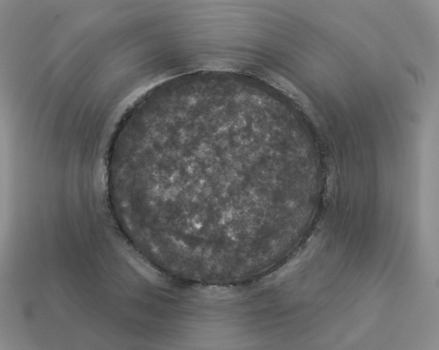 X0000113551027200910161429