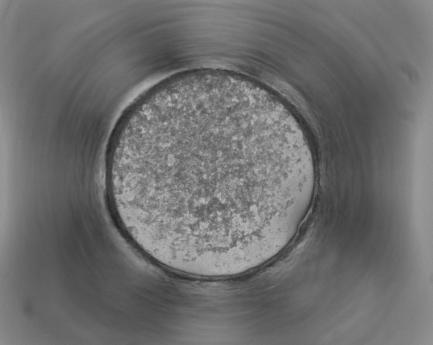 X0000113551028200910161429