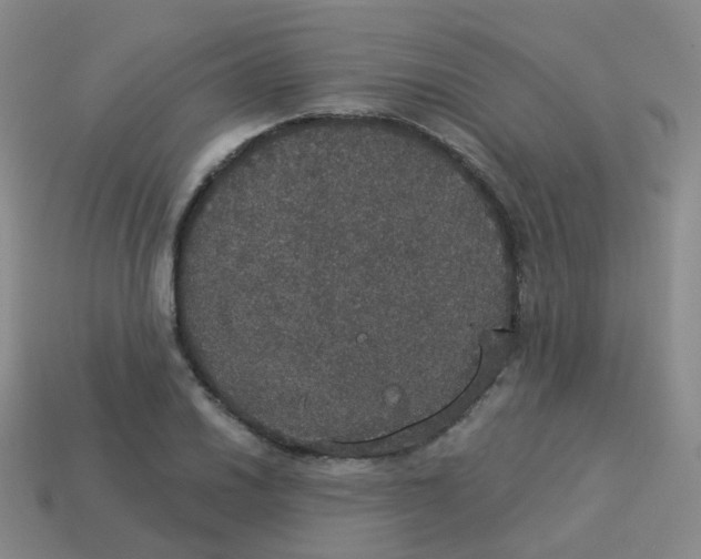 X0000113551030200910161429