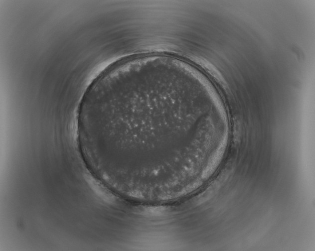 X0000113551031200910161429