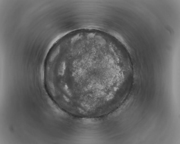 X0000113551032200910161429