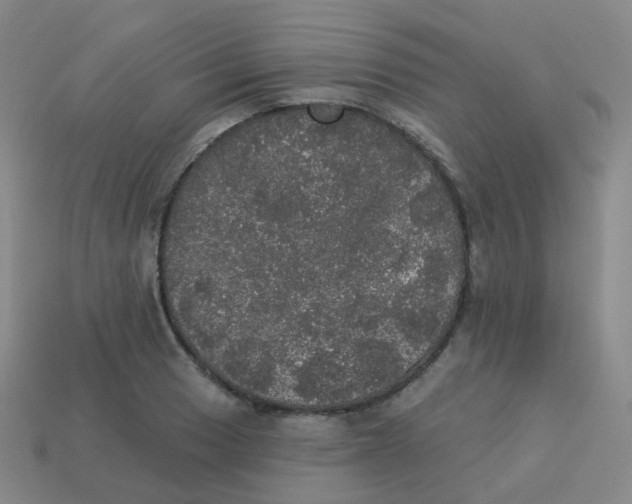 X0000113551033200910161429