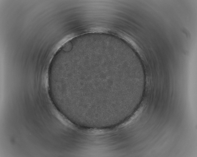X0000113551034200910161429