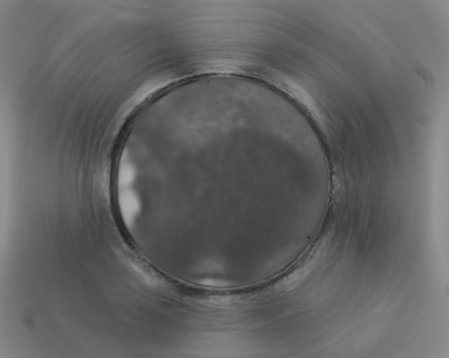 X0000113551035200910161429