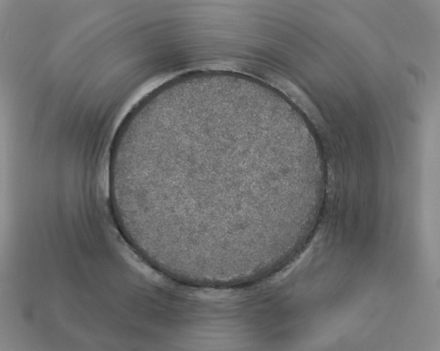 X0000113551036200910161429