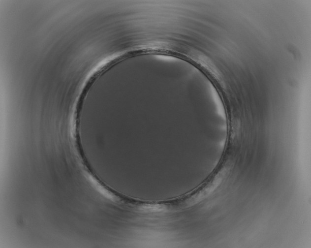 X0000113551037200910161429