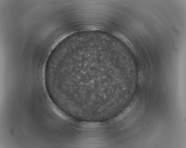 X0000113551039200910161429