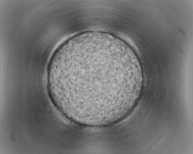 X0000113551040200910161429