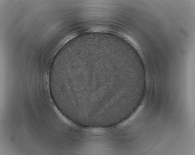 X0000113551041200910161429