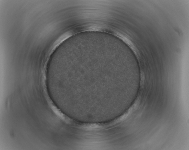 X0000113551042200910161429