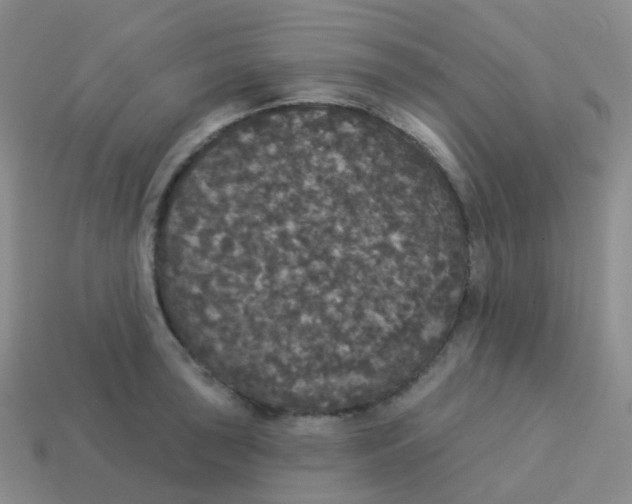 X0000113551043200910161429
