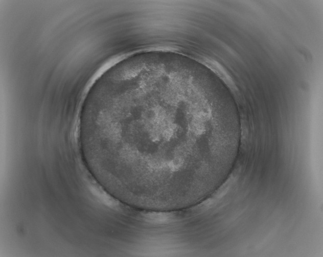 X0000113551044200910161429