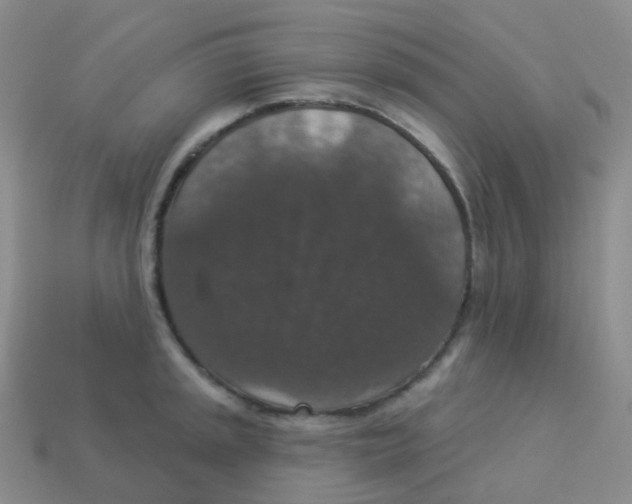 X0000113551045200910161429