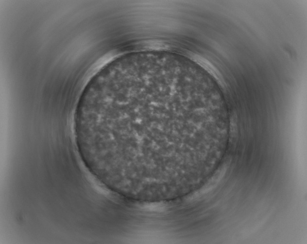 X0000113551047200910161430