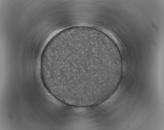 X0000113551048200910161430