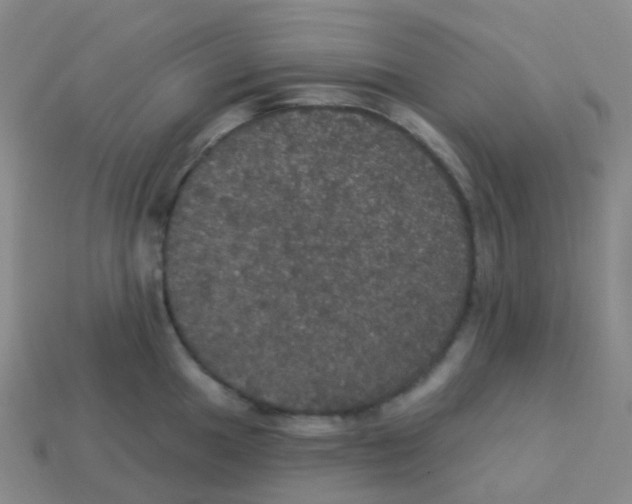 X0000113551049200910161430