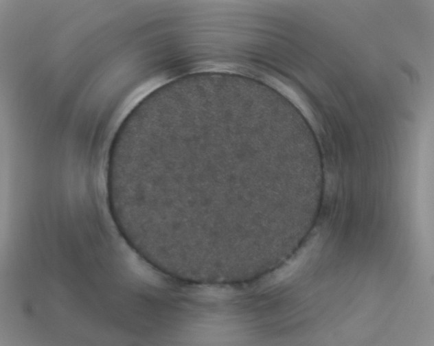X0000113551050200910161430