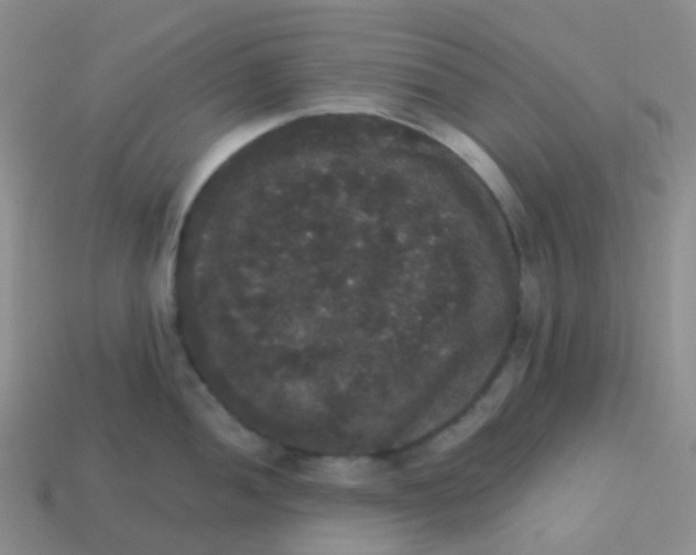 X0000113551052200910161430