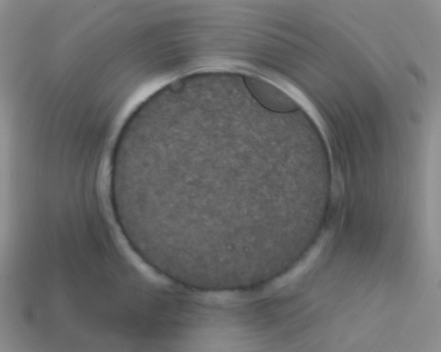 X0000113551053200910161430