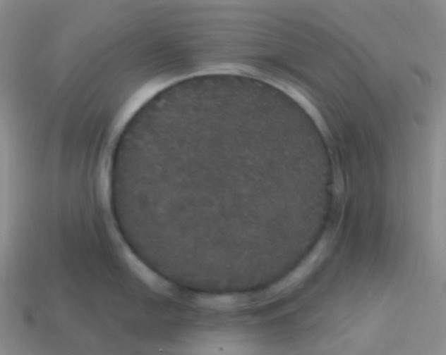 X0000113551054200910161430