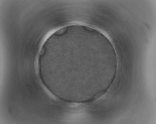 X0000113551056200910161430