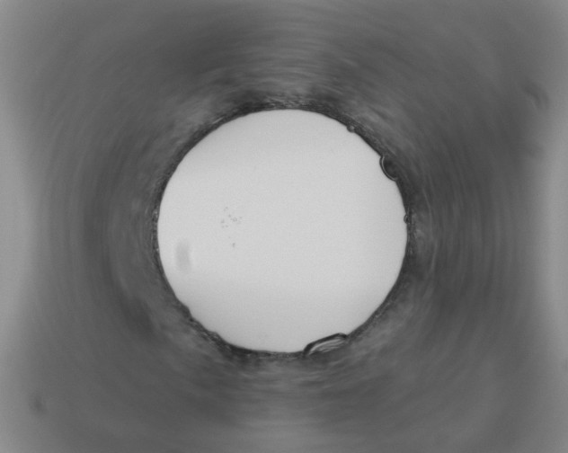 X0000113551057200910161429