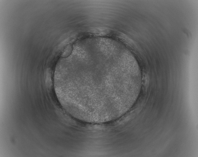 X0000113551058200910161429