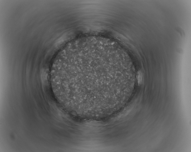 X0000113551059200910161429