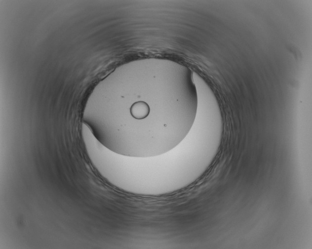 X0000113551060200910161429