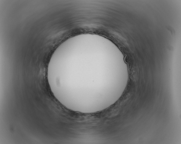 X0000113551061200910161429