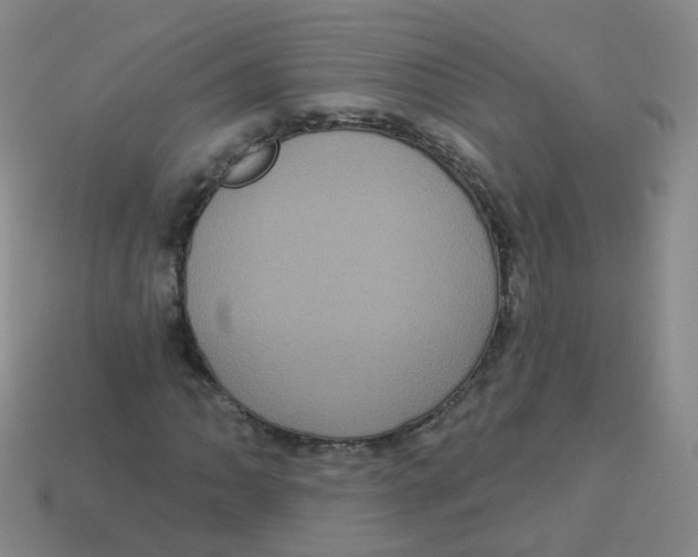 X0000113551062200910161429