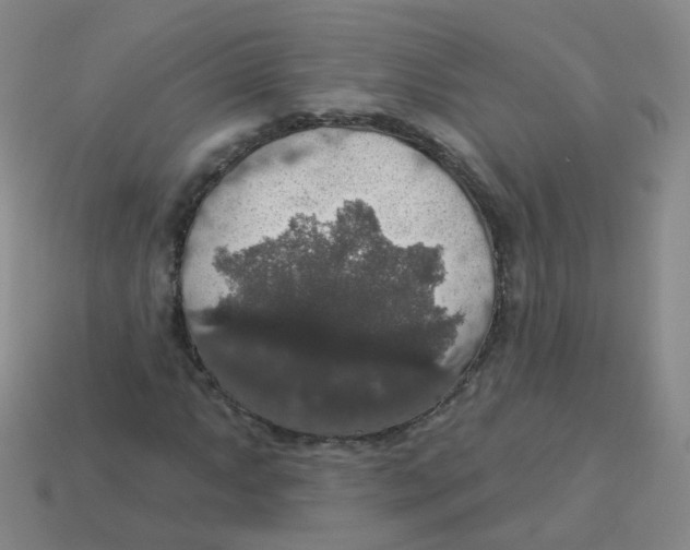X0000113551063200910161429