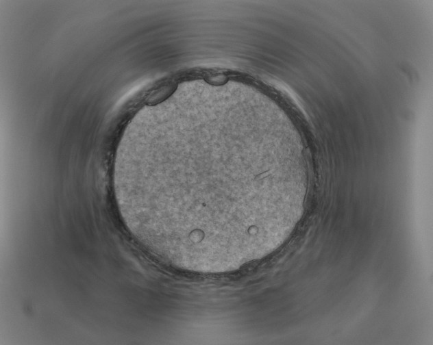 X0000113551064200910161429