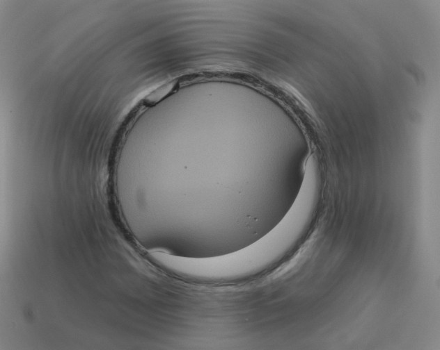 X0000113551065200910161429