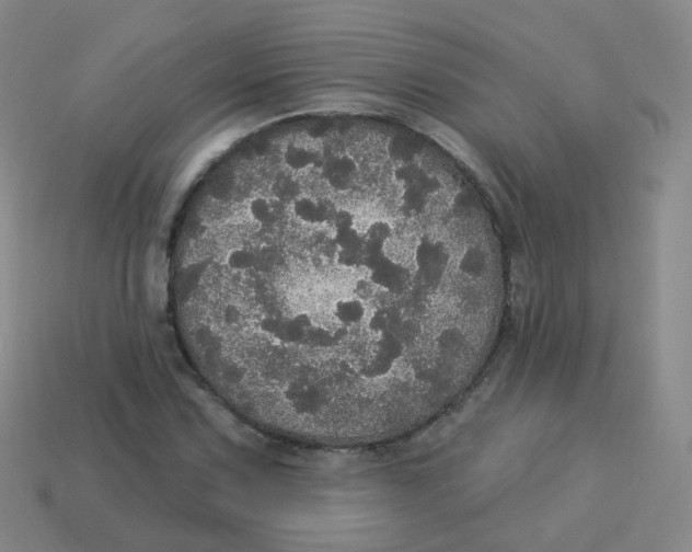 X0000113551067200910161429