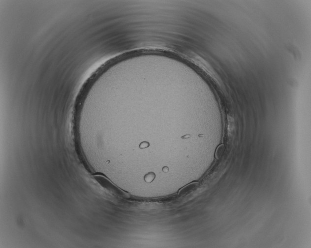 X0000113551068200910161429