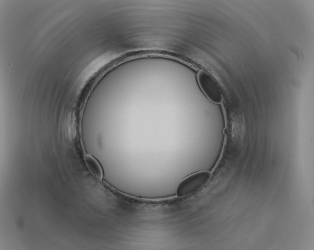 X0000113551069200910161429