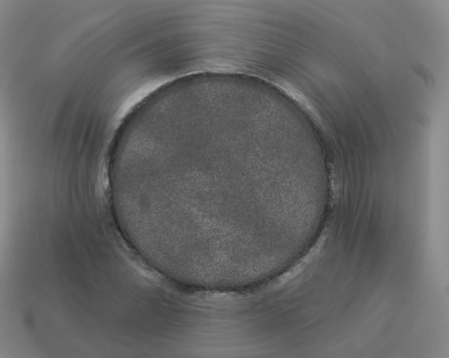 X0000113551070200910161429