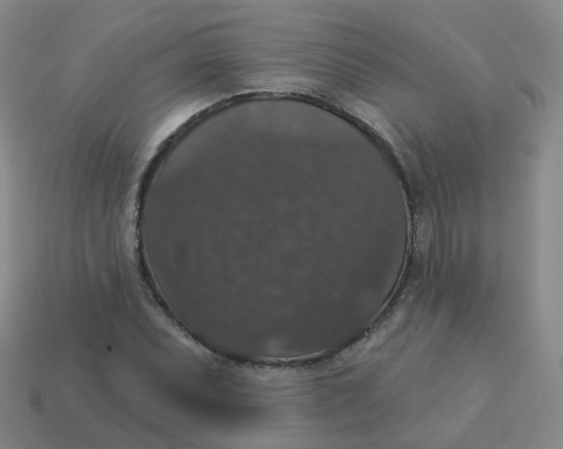 X0000113551071200910161429
