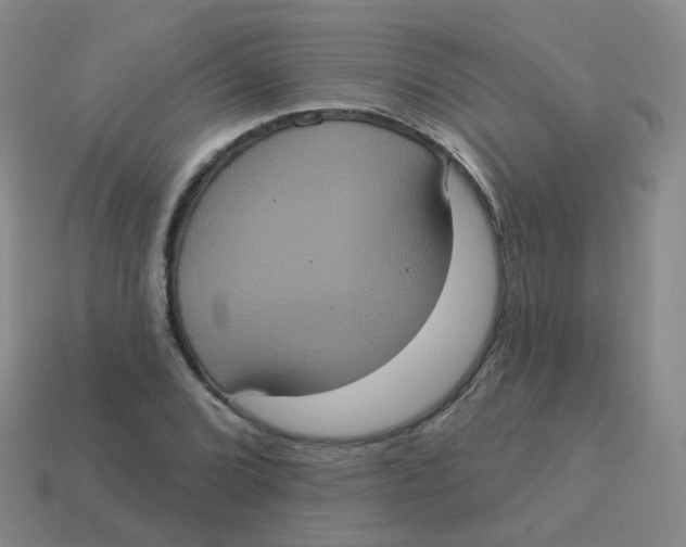 X0000113551072200910161429