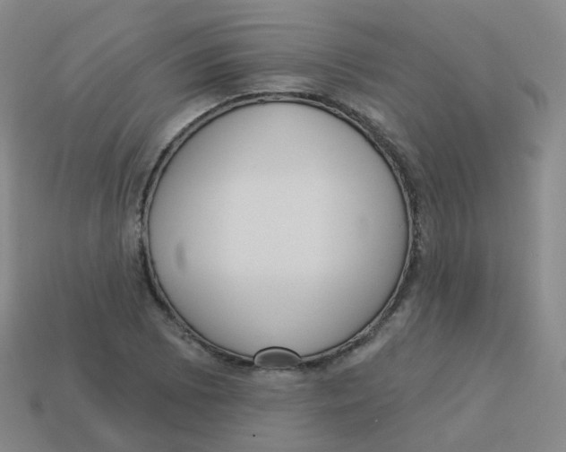 X0000113551073200910161429
