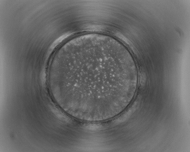 X0000113551074200910161429