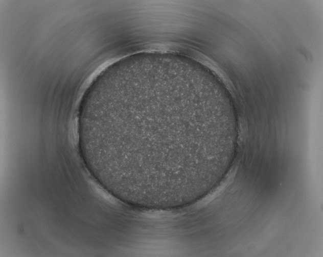 X0000113551075200910161429