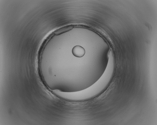 X0000113551076200910161429