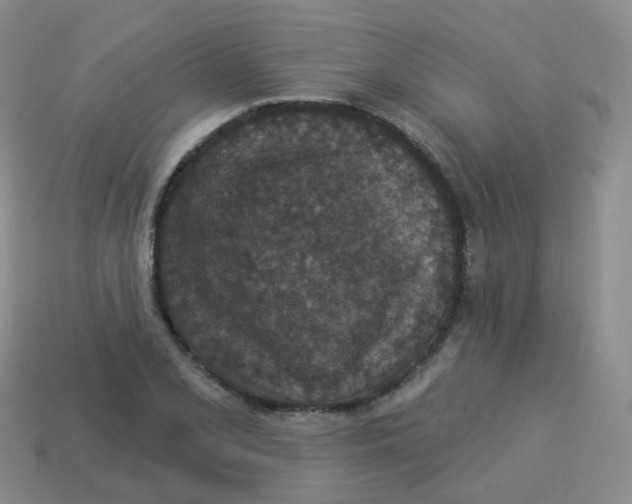 X0000113551077200910161429