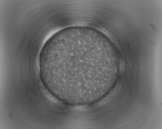 X0000113551078200910161429